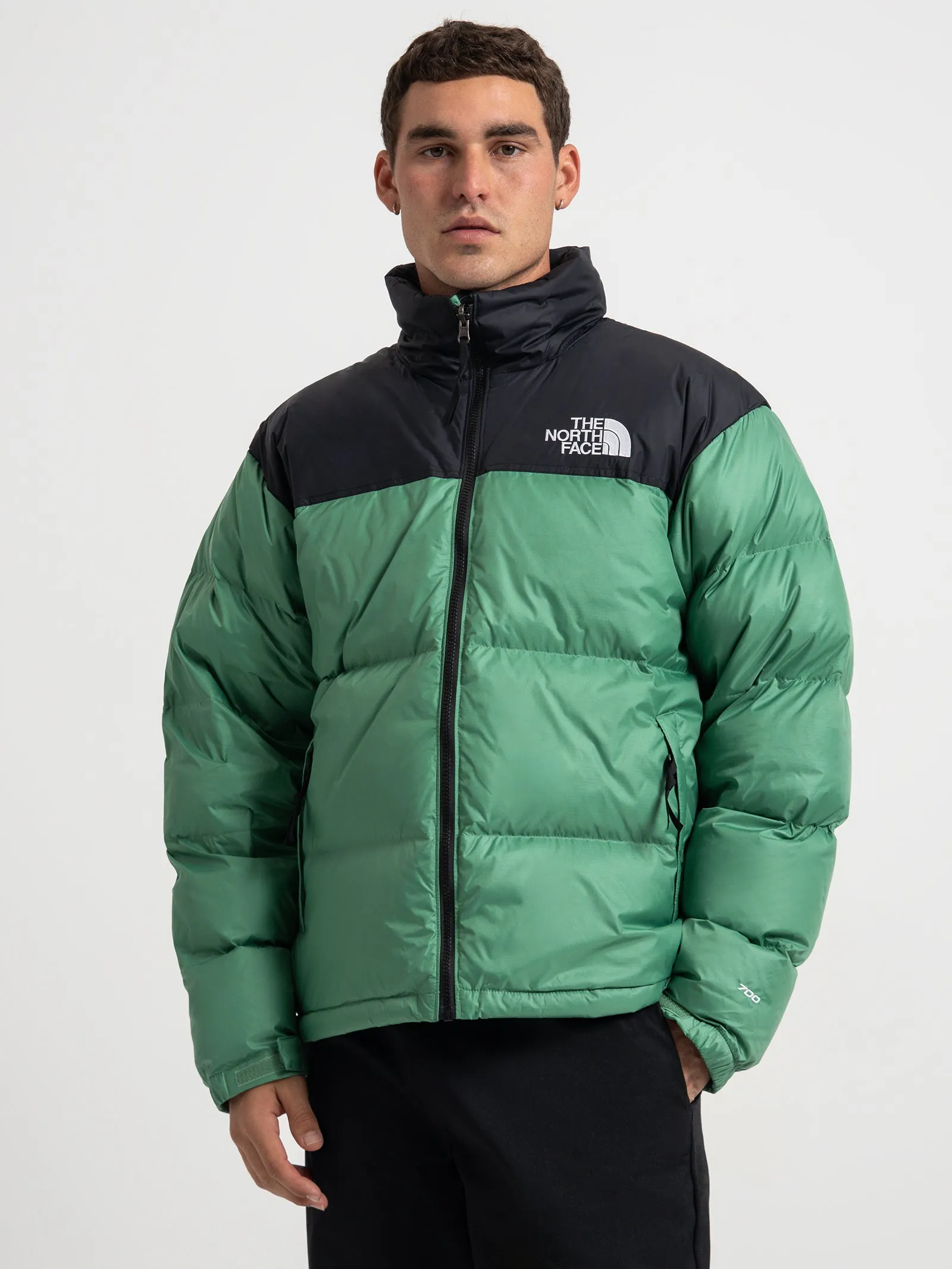 1996 Retro Nuptse Jacket in Deep Grass Green