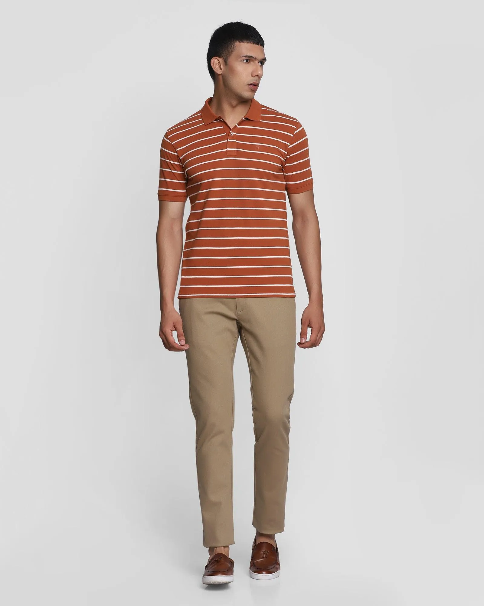 Polo Brown Striped T-Shirt - Striper