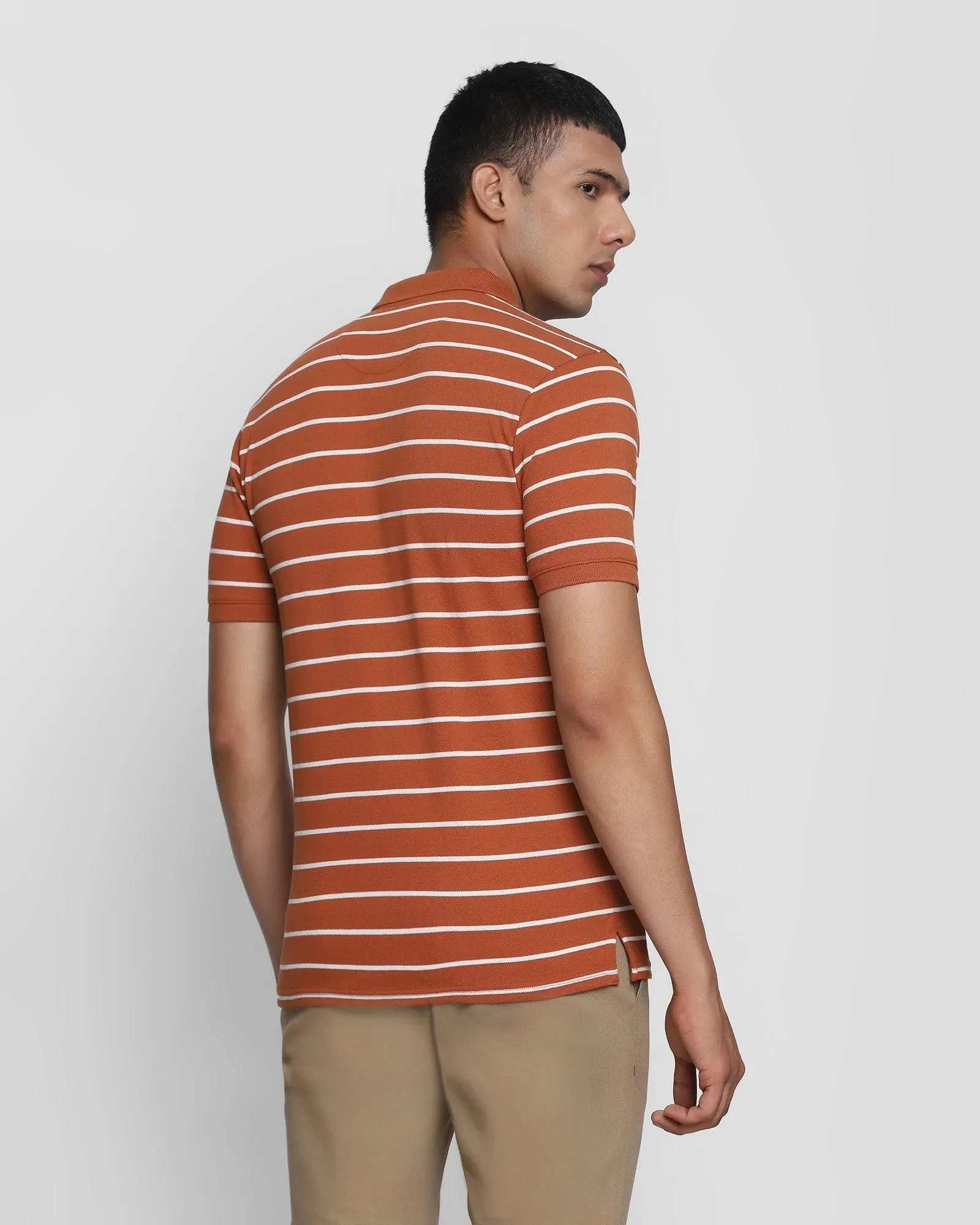 Polo Brown Striped T-Shirt - Striper