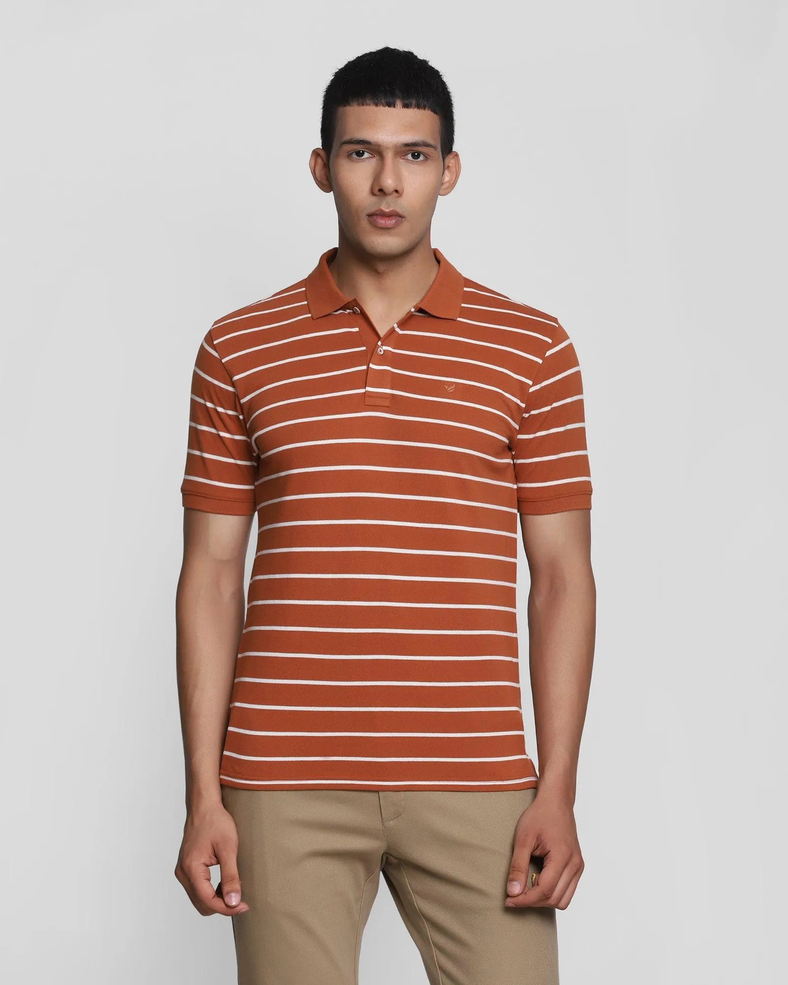 Polo Brown Striped T-Shirt - Striper