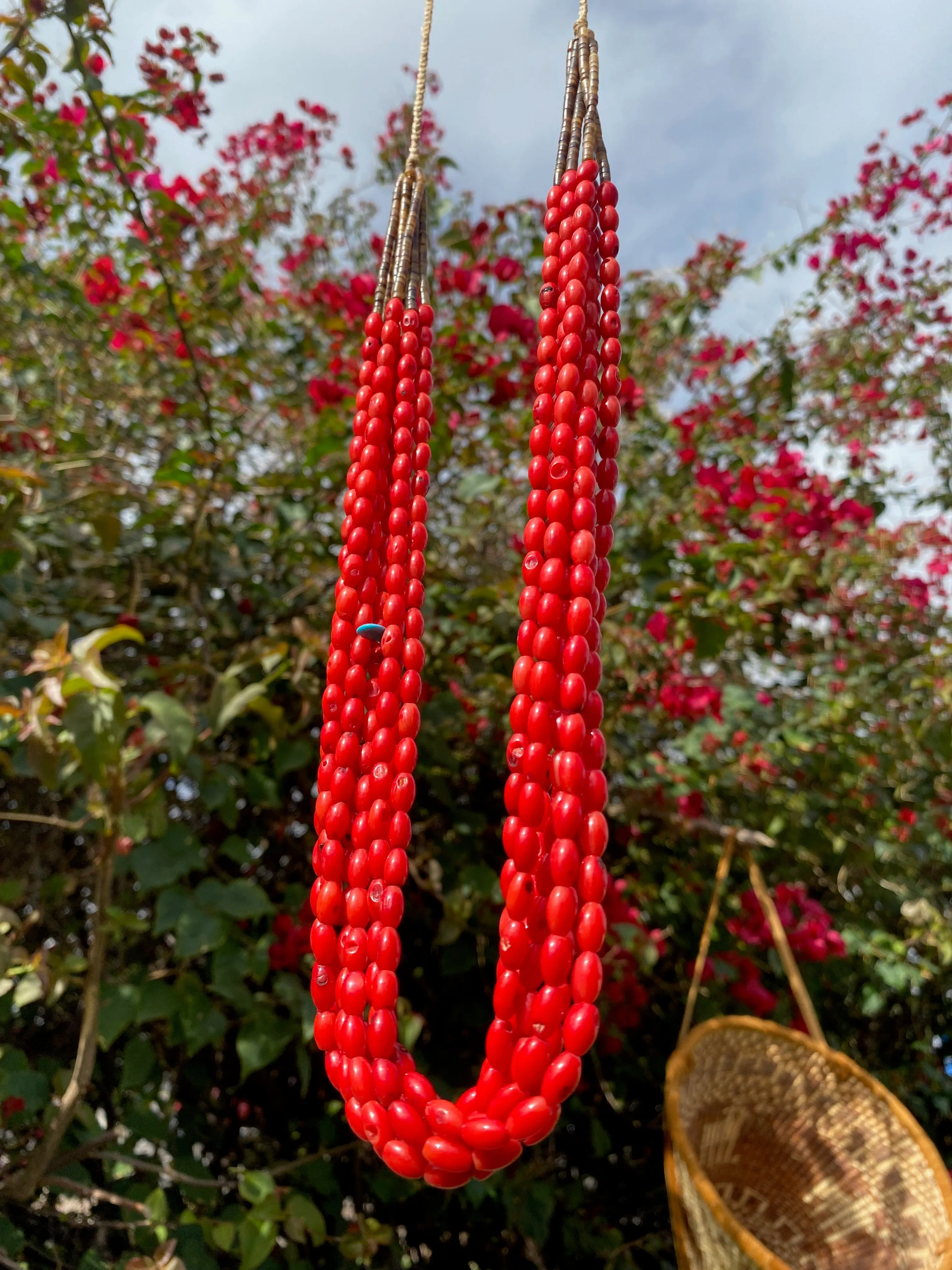 Santo Domingo Coral Heishi Necklace